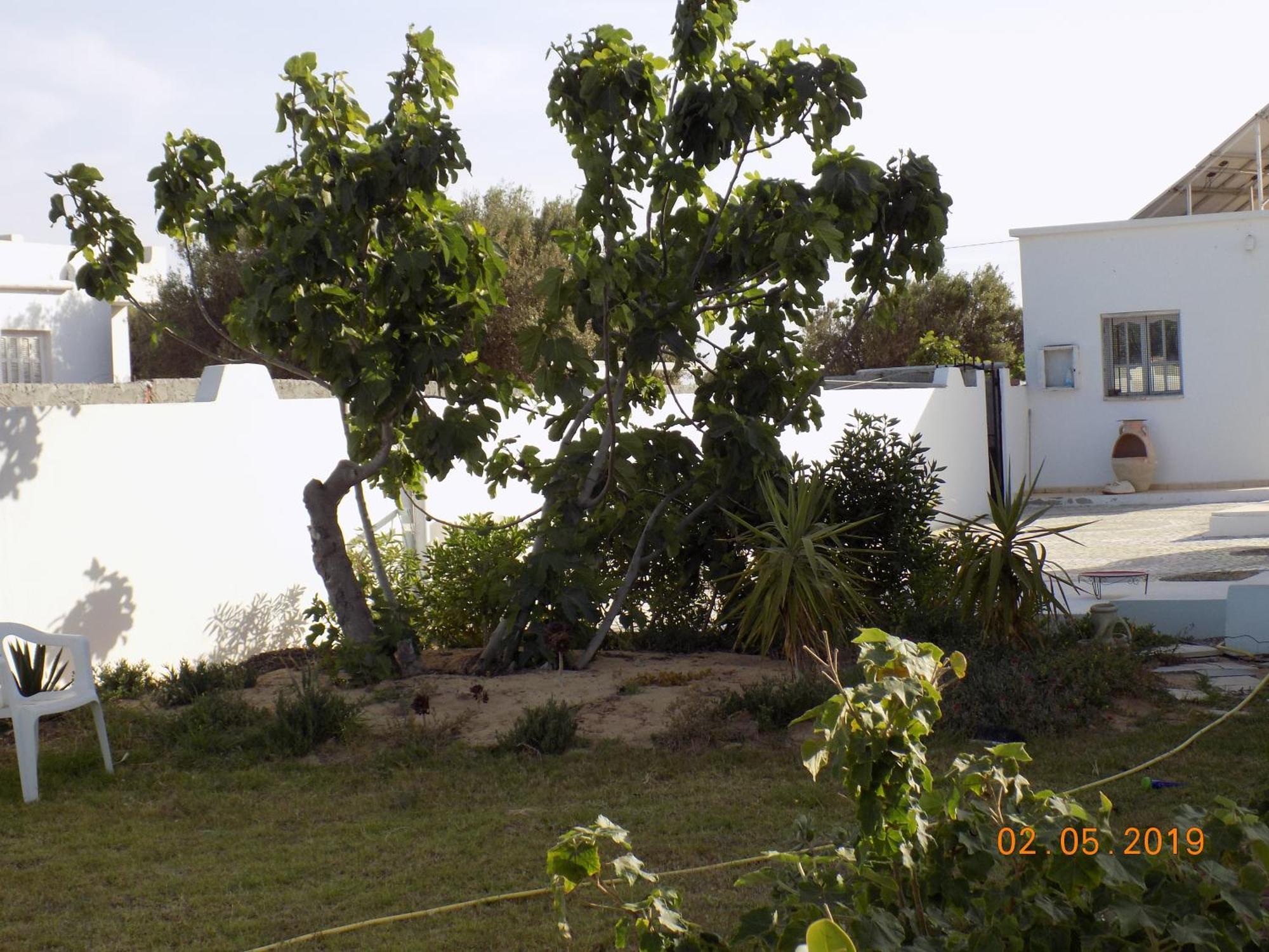 Sidi ash Shammakh Dar Mamina Bed & Breakfast エクステリア 写真