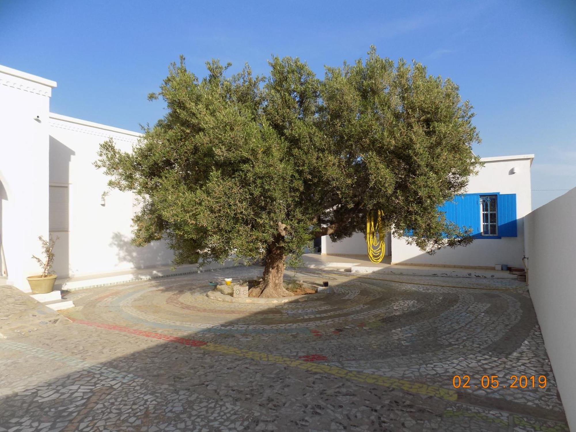 Sidi ash Shammakh Dar Mamina Bed & Breakfast エクステリア 写真