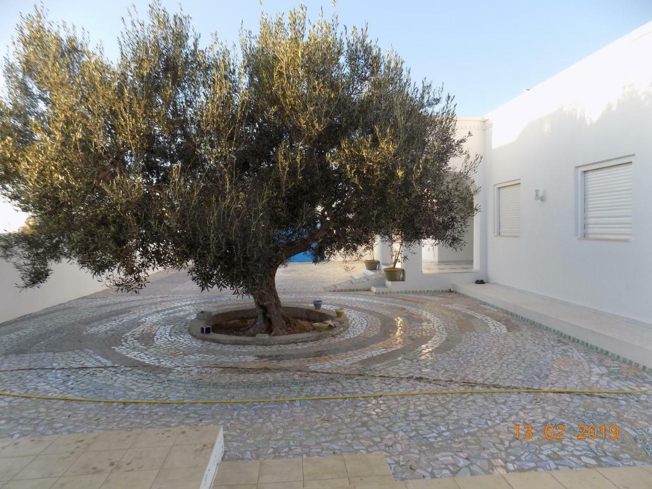 Sidi ash Shammakh Dar Mamina Bed & Breakfast エクステリア 写真