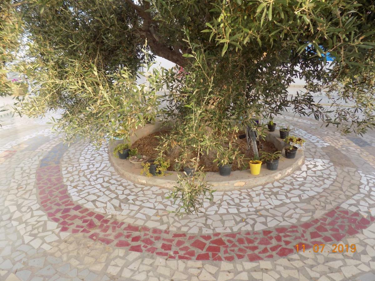 Sidi ash Shammakh Dar Mamina Bed & Breakfast エクステリア 写真