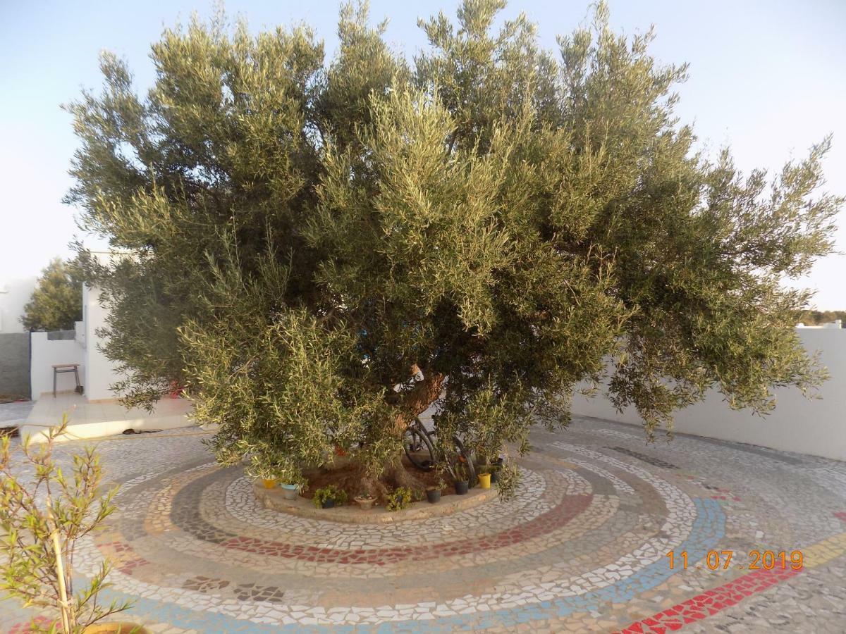 Sidi ash Shammakh Dar Mamina Bed & Breakfast エクステリア 写真